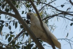 IMG_0446