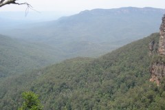 IMG_0462