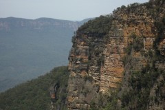 IMG_0463