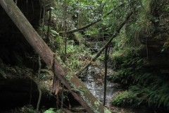 IMG_0473
